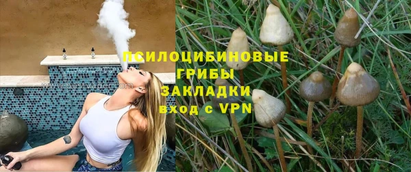 mdpv Баксан