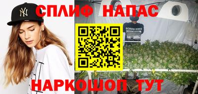 амф Гусь-Хрустальный