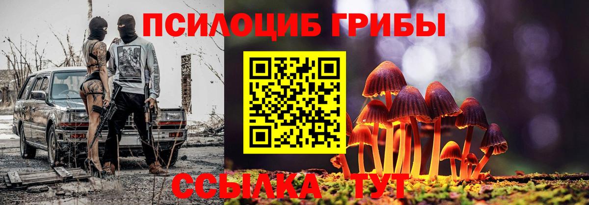 закладка  Вход с VPN  Нурлат  Галлюциногенные грибы Cubensis 