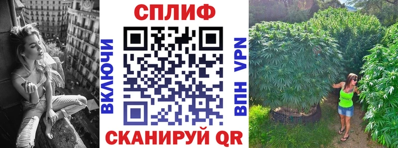 Конопля OG Kush  Нурлат 